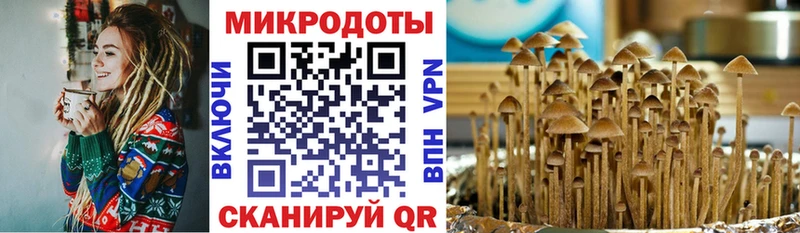 где купить наркоту  Невьянск  Галлюциногенные грибы мухоморы 